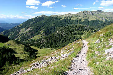 Il facile sentiero ci porta a Passo Manghen